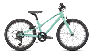 Specialized JETT 20 INT 20 OASIS/FOREST GREEN